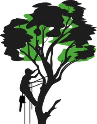 Logo Balland Entretien